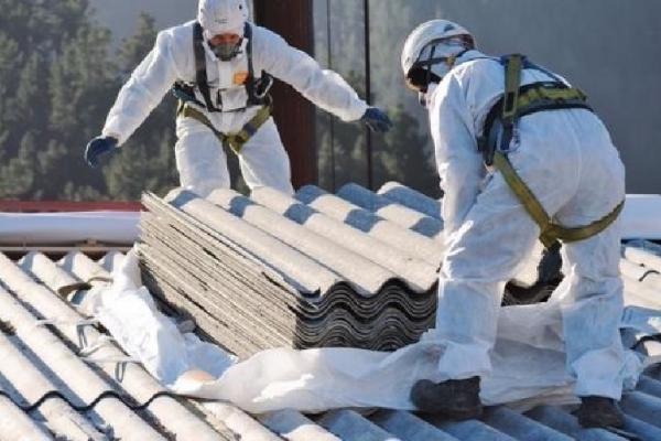 Asbestos Removal Services