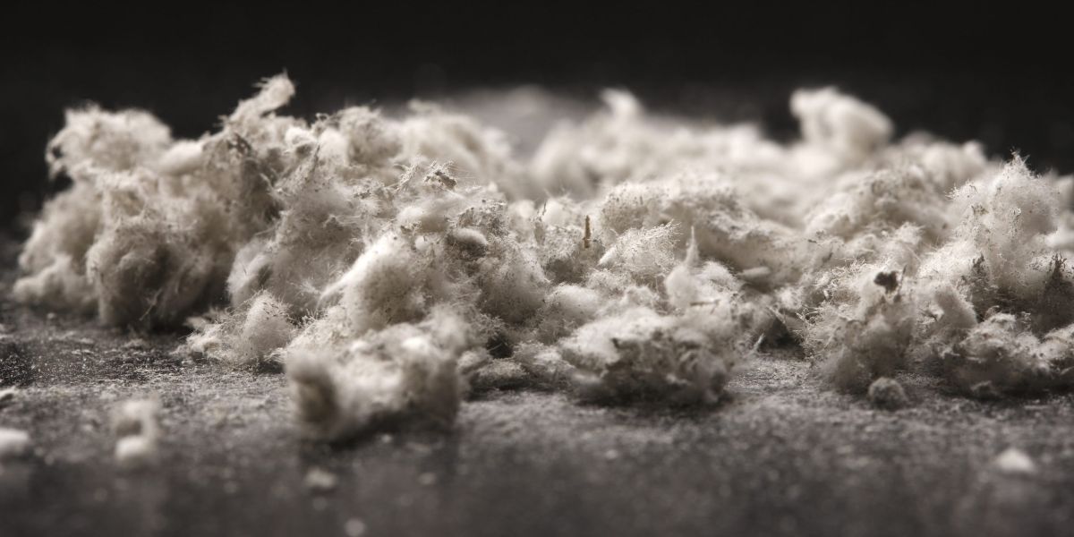 asbestos removal