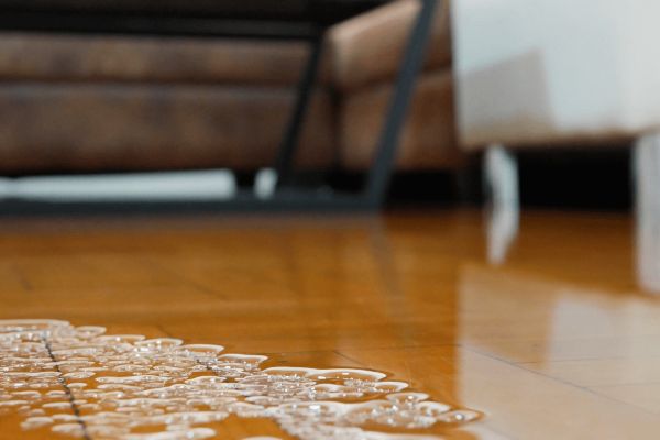 flood damage cleanup