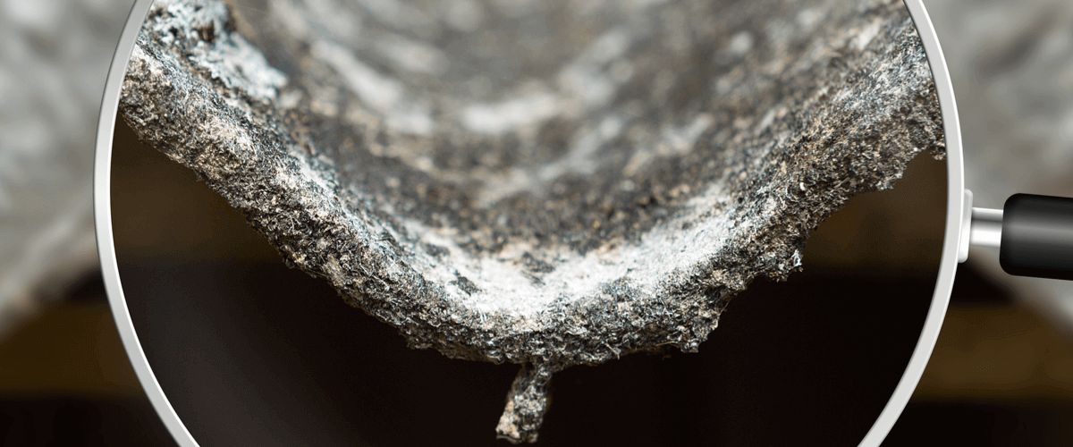 asbestos testing