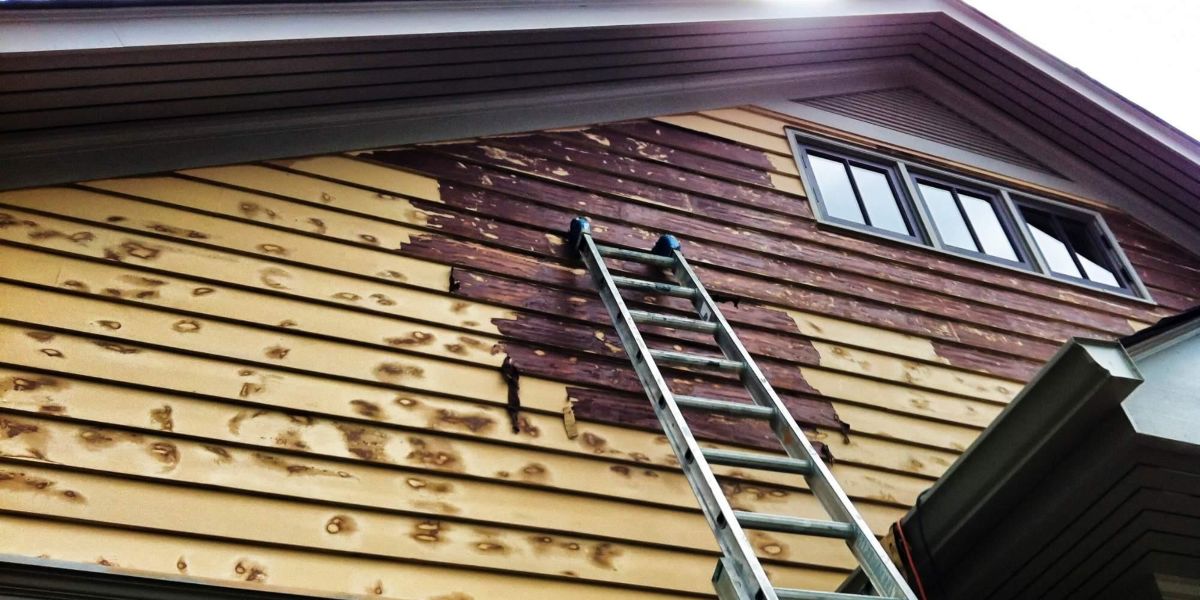 lead paint removal