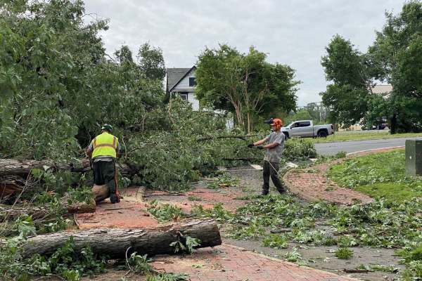 Storm Damage Assessment