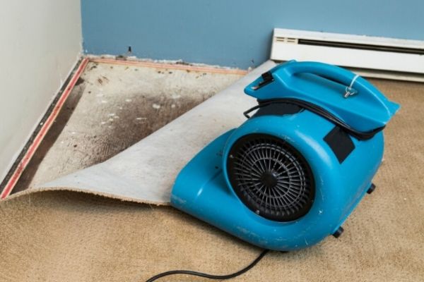 Water Damage Cleanup